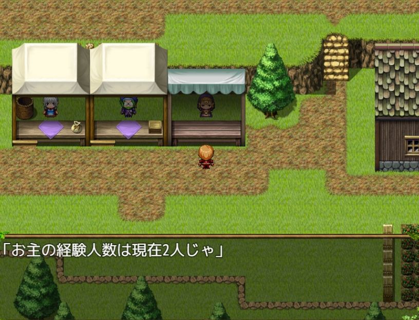 NPC姦〜すべての女NPCは俺のもの〜 サンプル6ページ目