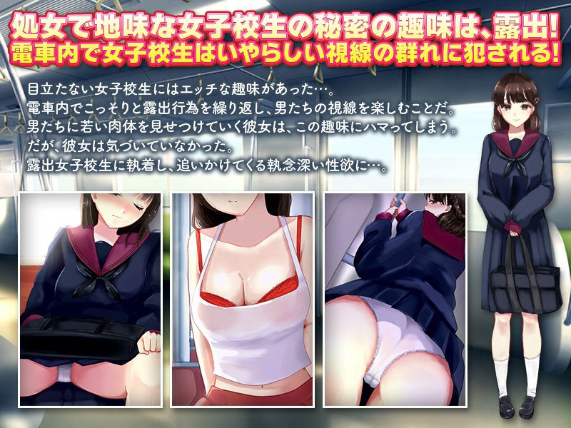 電車露出娘と盗撮ストーカー サンプル1ページ目