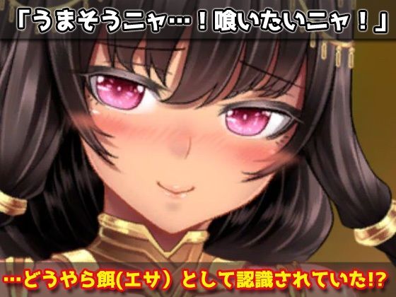 【Android版】無知で強気なネコミミ娘を妊娠させる！〜オナニー用ミニゲーム サンプル2ページ目