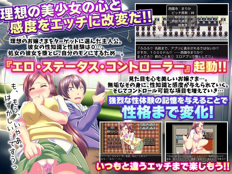 強●発情期！ステータス操作アプリ サンプル3ページ目