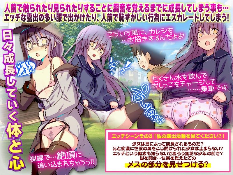 妹の気持ち サンプル3ページ目
