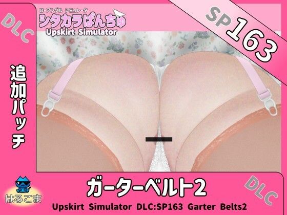 SP163 ガーターベルト2追加パッチ