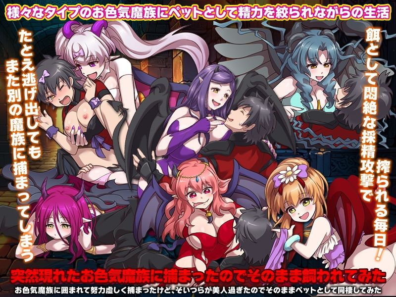 ダンジョンの第4層が発見！でもそこはお色気魔族の巣でした… サンプル3ページ目