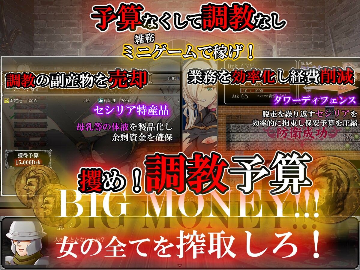 雌豚性奴●剣士セシリア 〜凛々しき女剣士は淫らな調教に堕ちる〜 サンプル3ページ目