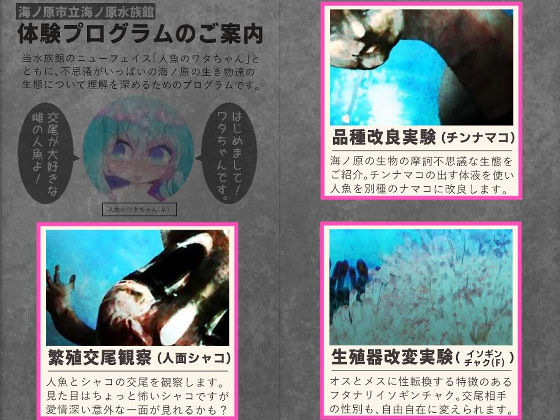 淫魚繁蝕〜人魚と異形の交尾観察〜 サンプル4ページ目
