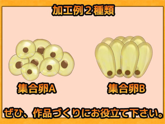 蟲卵（むしのたまご） 画像素材〜商用OK著作権フリー サンプル2ページ目