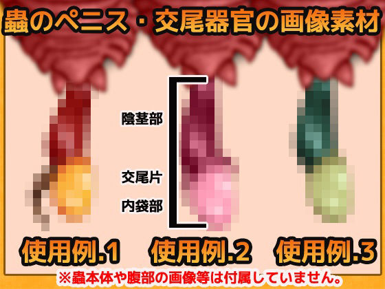 蟲のペニス・交尾器官 画像素材〜商用OK著作権フリー サンプル1ページ目