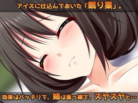 睡眠姦〜お姉ちゃんに「眠り薬」でエッチな事をする弟（ボク）〜オナニー用ミニゲーム サンプル1ページ目
