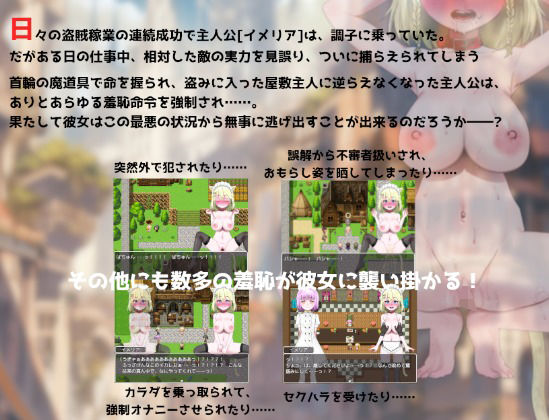 調子に乗って富豪の家に忍び込んだ巨乳盗賊ちゃんの末路 サンプル1ページ目