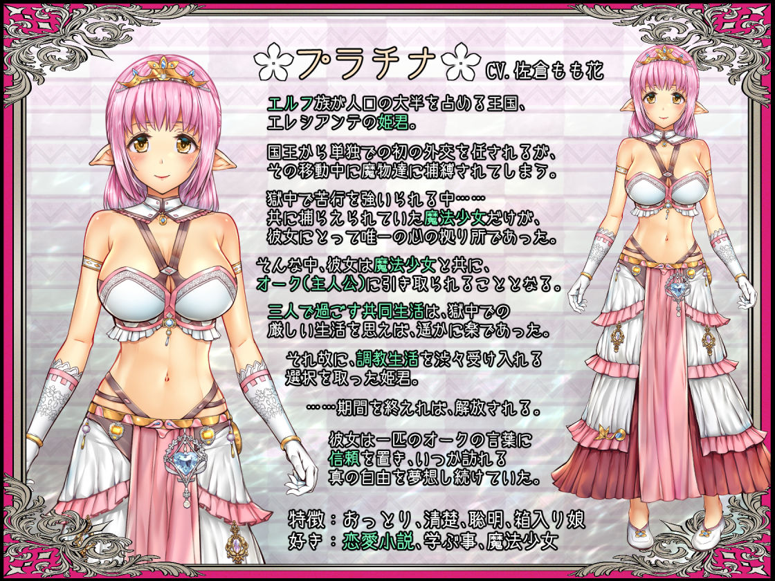 少女異種間獄 〜魔法少女＆エルフ姫、オークと過ごす異世界性活〜 サンプル4ページ目