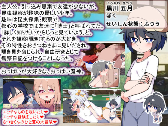おきつねさまとおねショタ夏日記W――ダブルお姉ちゃんとひみつののぞき穴 サンプル6ページ目