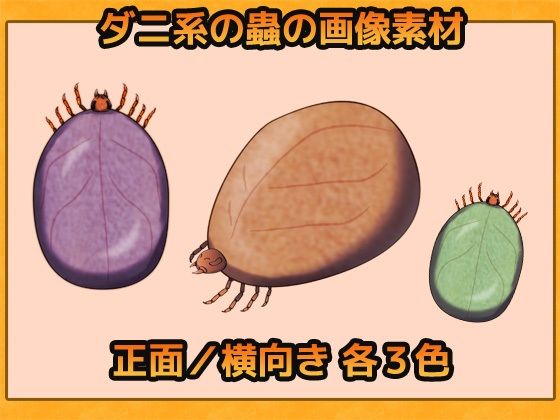 蟲（ダニ系） 画像素材〜商用OK著作権フリー サンプル1ページ目