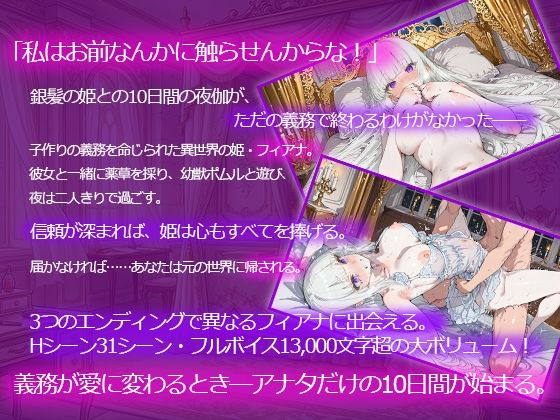 ツンデレ姫と夜伽の10日間 〜異世界で子作り命じられました〜 サンプル1ページ目