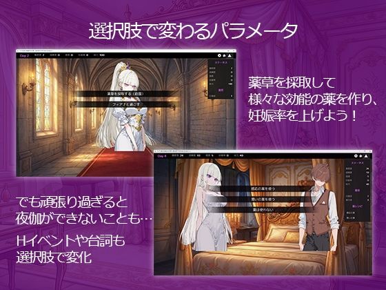 ツンデレ姫と夜伽の10日間 〜異世界で子作り命じられました〜 サンプル4ページ目