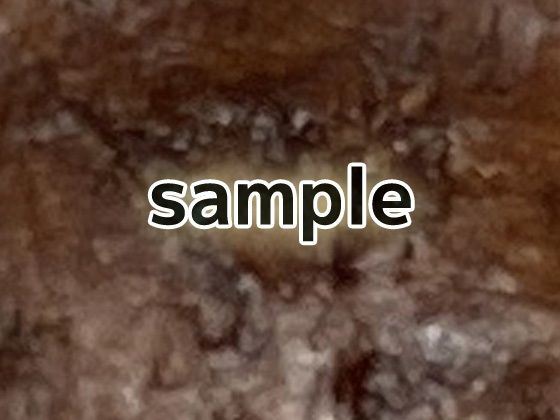 化石のテクスチャ/シームレス画像素材〜商用成人利用OKの著作権フリー サンプル3ページ目