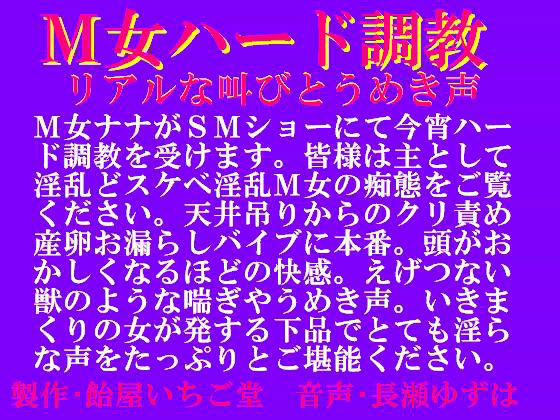 M女ハード調教・リアルな叫びとうめき声 mp3版