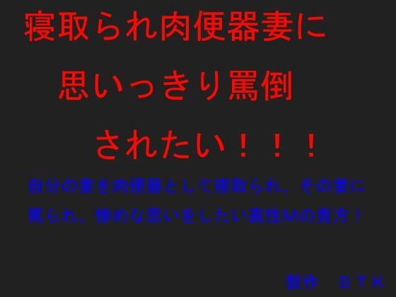 寝取られ肉便器妻に思いっきり罵倒されたい！！！