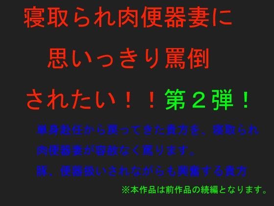 寝取られ肉便器妻に思いっきり罵倒されたい！！ 〜第2弾〜