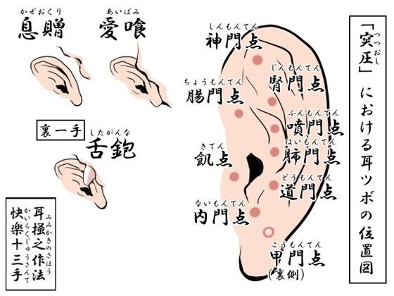 耳掻きマッサージ専門店「大和撫子」技術指導音声「耳掻之作法」快楽十三手 サンプル2ページ目