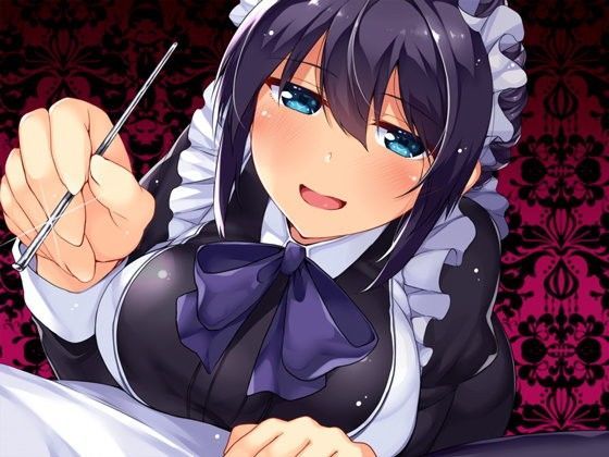 【必然】やっぱり、クール妻メイドのお仕置きご奉仕〜本当は怖い耳かきプレイとかとかとか…M向け王道定石定番ご褒美！