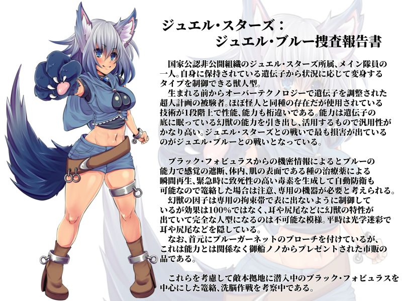 変身ヒロイン悪堕ち報告書2 メスケモふたなり改造計画 サンプル3ページ目