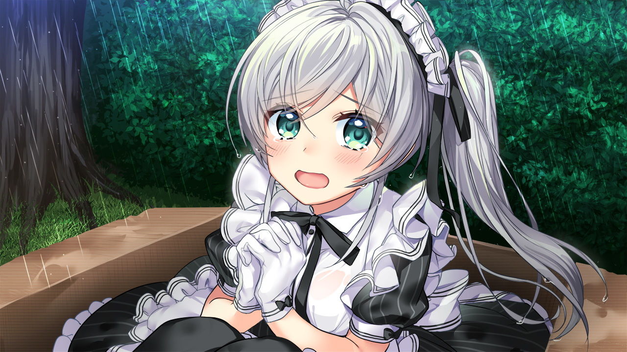 拾われメイドのセシル サンプル3ページ目