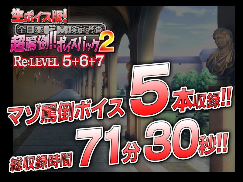 【生ボイス版！】全日本ドM検定考査 Re: LEVEL 5＋6＋7セット 超罵倒！！ボイスパック 2 サンプル2ページ目