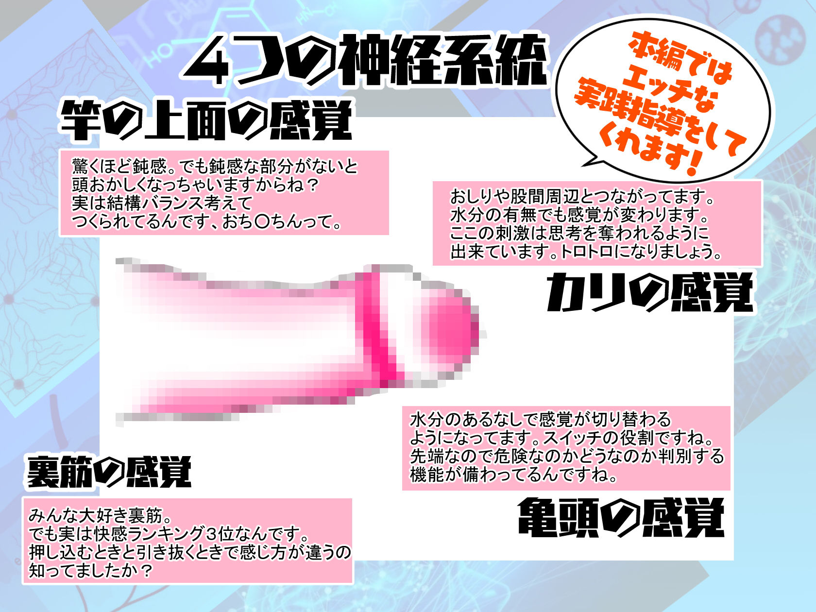 【徹底！快感解説型オナニーサポート】神経オナニー・メソッド サンプル5ページ目