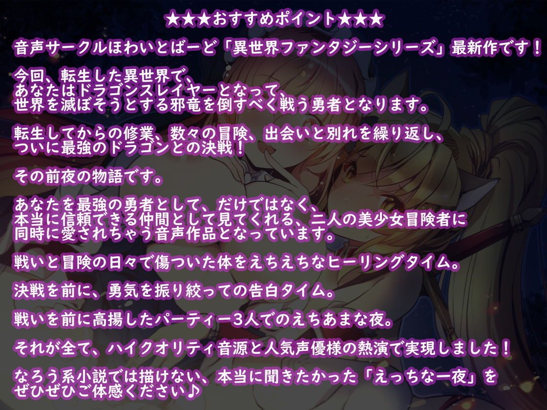 異世界ドラゴンスレイヤーの決戦前夜！【バイノーラル】 サンプル1ページ目