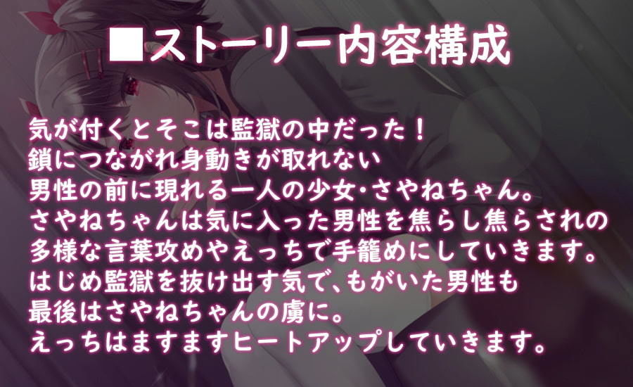 【ハイレゾ×KU100】監獄少女【収録時間2時間】 サンプル2ページ目