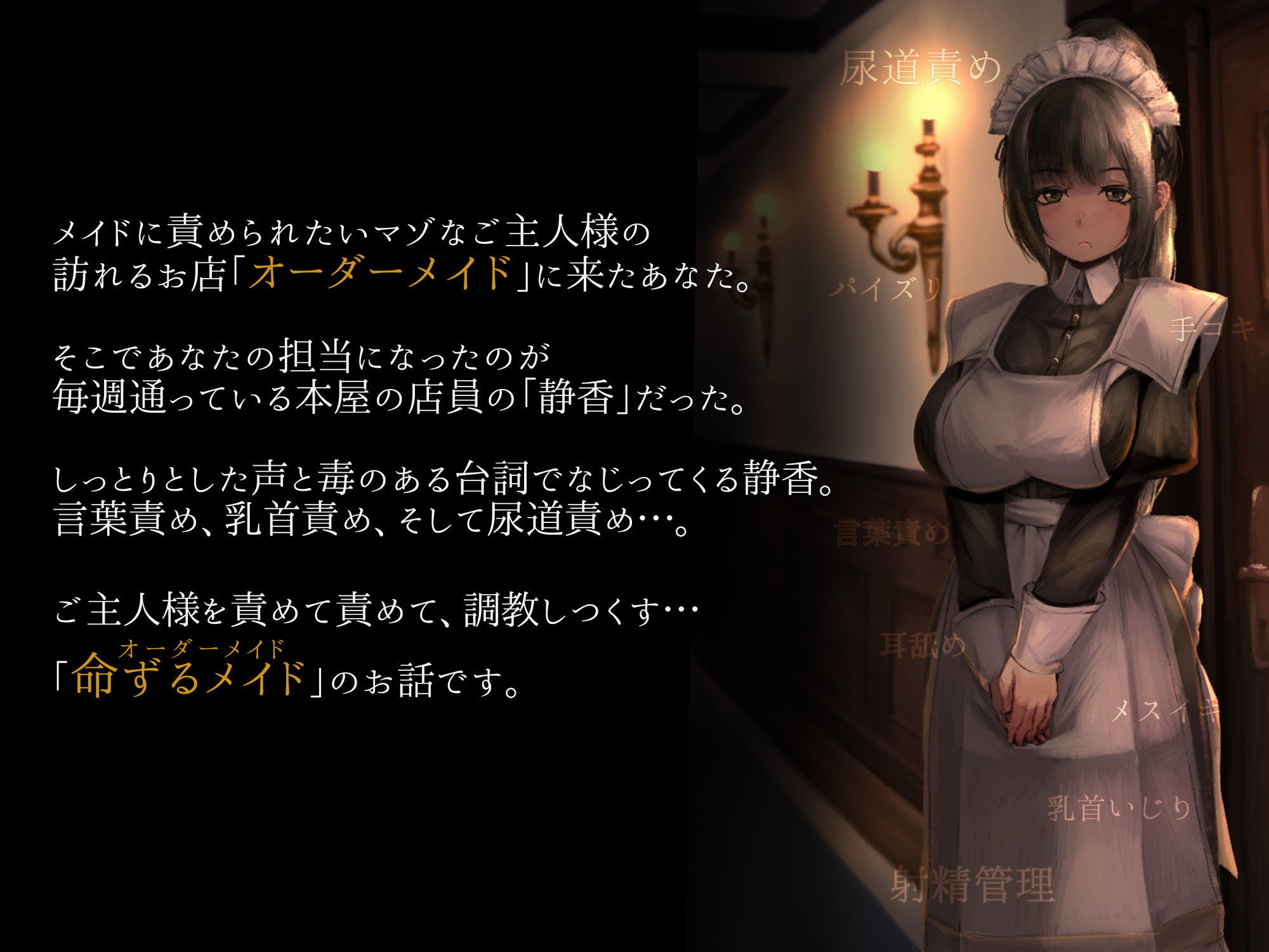 オーダーメイド ‐調教M男様いじめ館- サンプル2ページ目
