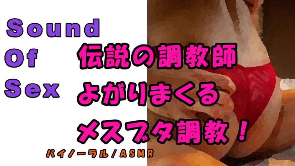ノンフィクションSEXボイス！実録！ガチムチ熊系調教師が首絞め、スパンキング、言葉責めで尻でかメスブタを調教完了！ ASMR/バイノーラル/催●音声/M女/○辱☆ サンプル1ページ目