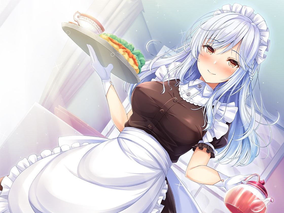 主が好きすぎるメイドさん-神白麗-【年上で表面上しっかりものの完璧メイド、冷徹な面もあるが表面上はやさしい 】そんなメイドさんです【KU100】 サンプル1ページ目