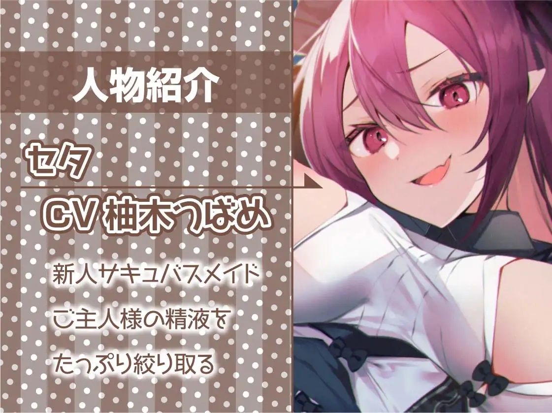 中出し孕み担当のサキュバスメイドとのドスケベえちえち性活【フォーリーサウンド】 サンプル5ページ目
