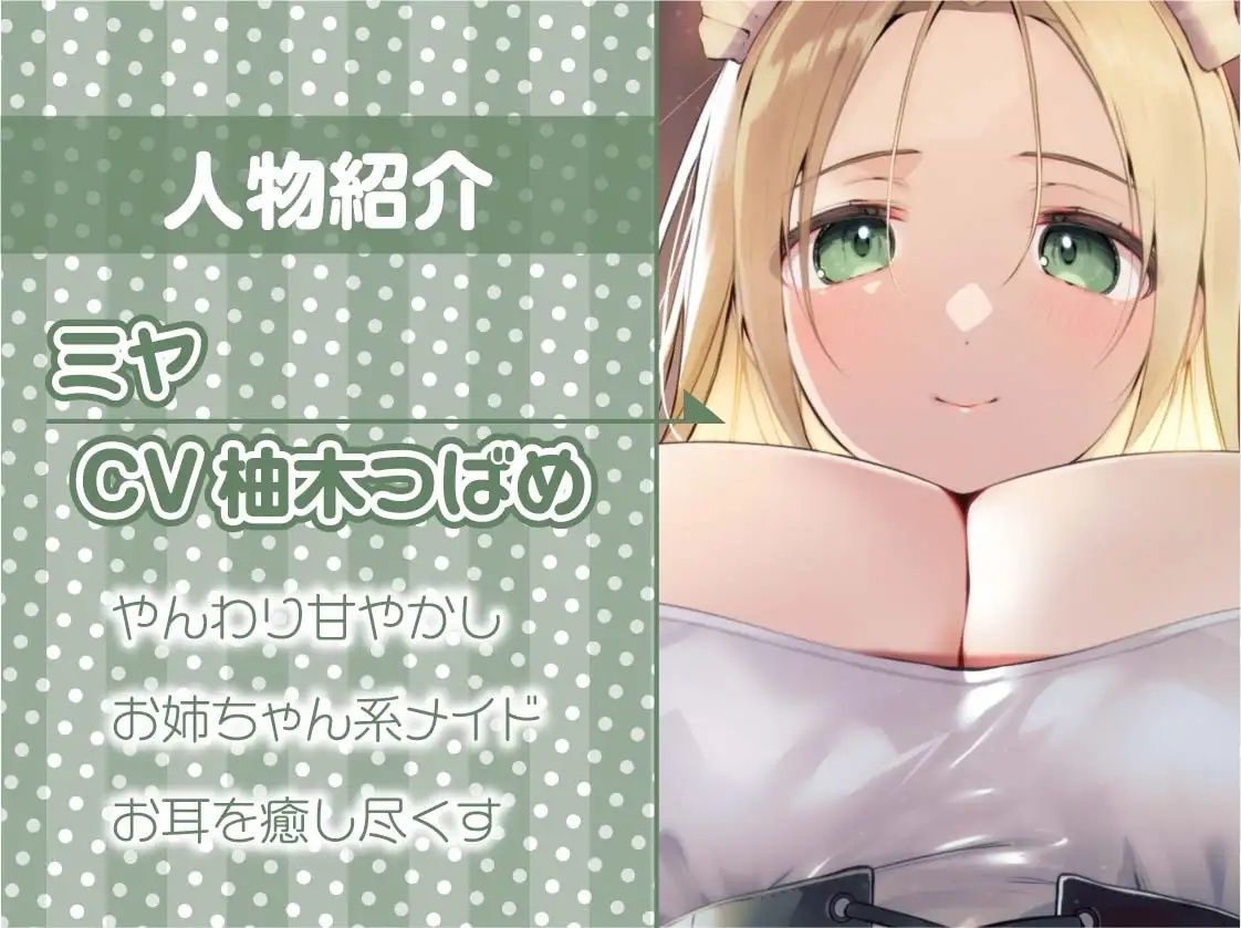 えちえちお耳担当メイドミヤさんに癒される！【フォーリーサウンド】 サンプル5ページ目