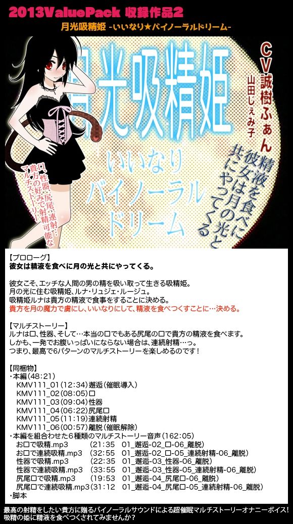 2013ValuePack サンプル2ページ目