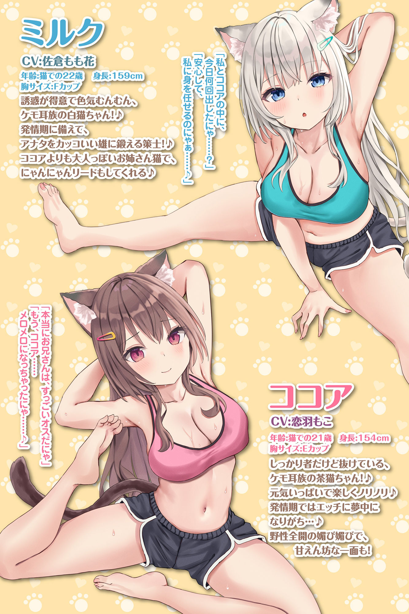 【KU100】ケモ耳フィットネスでドスケベ射精管理！ 〜軟体ネコ娘にあまあま搾精されながら絶倫目指して密着絡まりトレーニング♪〜【りふれぼプレミアムシリーズ】 サンプル2ページ目