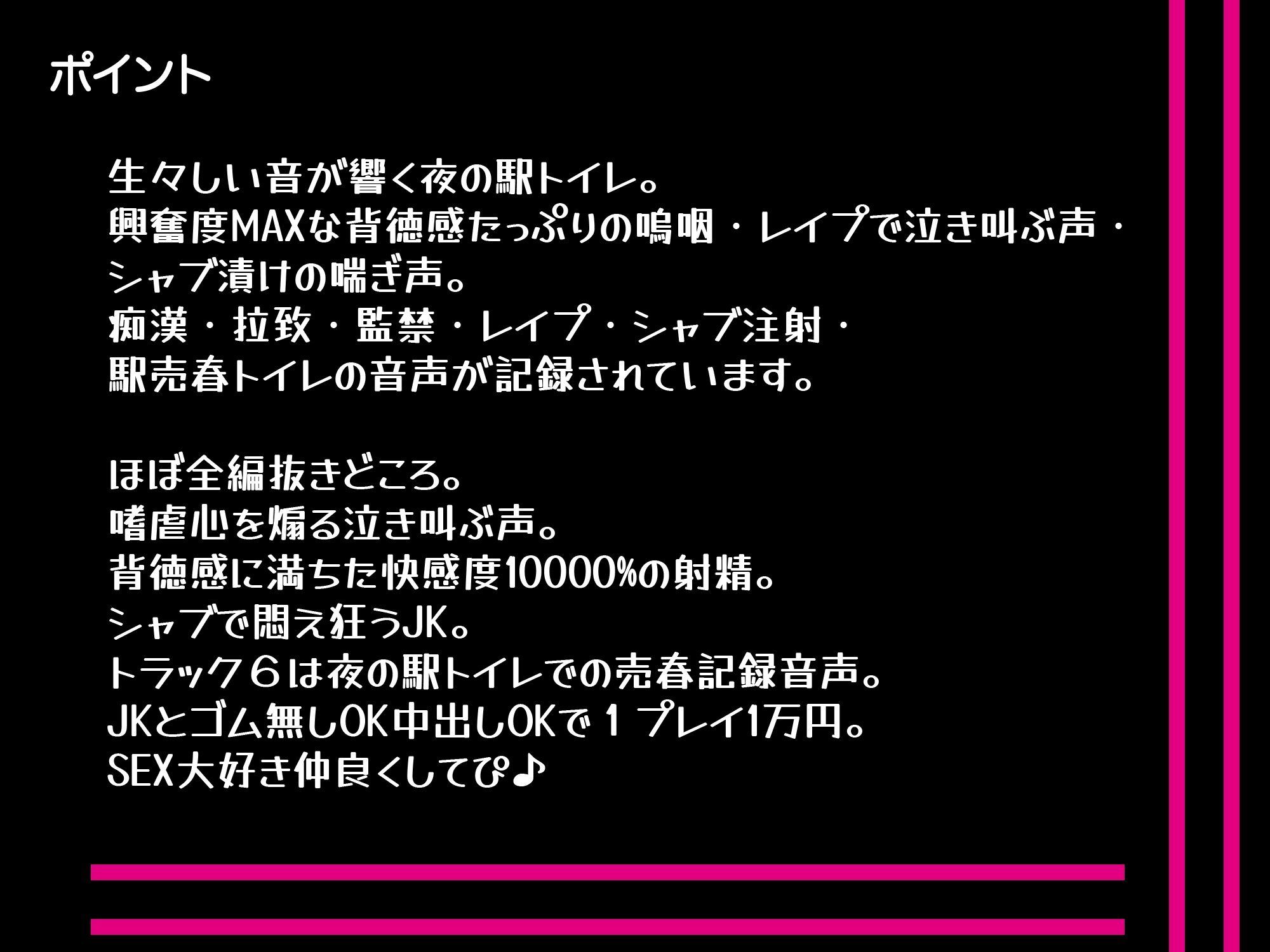 2時間00分20秒-JK拉致レ●プ・痴●・シャブ漬・ハメ撮り・駅売春トイレ サンプル1ページ目
