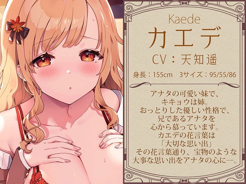 耳舐めコンシェルジュ♪ 愛しきお兄様に至高の癒やしと快楽を【KU100バイノーラル】 サンプル4ページ目