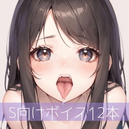 S向けボイス厳選12本（未発表多数） サンプル1ページ目