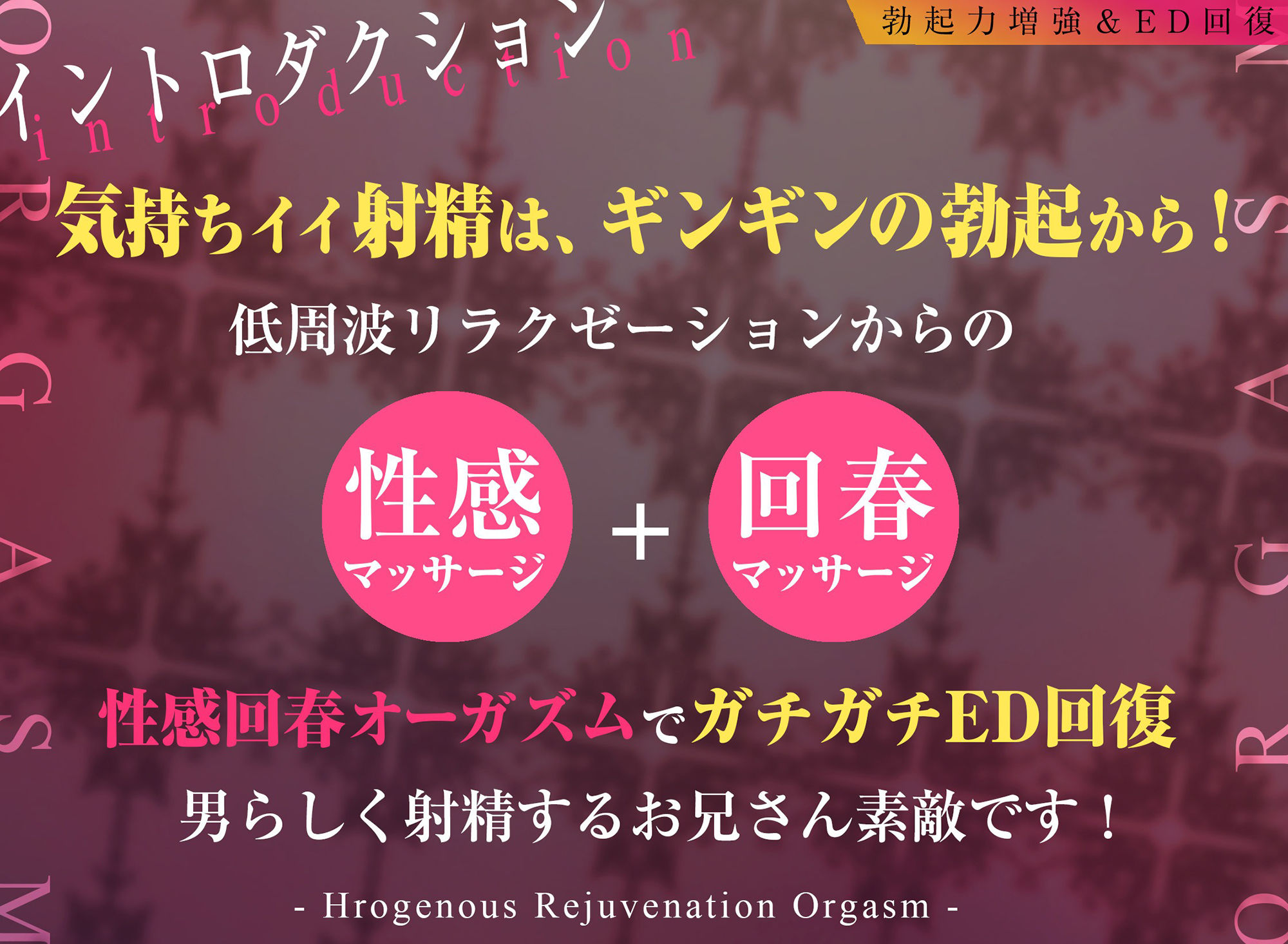 【勃起力増強＆ED回復】「実践！」性感回春オーガズム〜自然に溢れるような射精を体験！！〜【最近本気で気持ちイイ射精をしていない＆勃ちの悪いあなたに…】 サンプル1ページ目