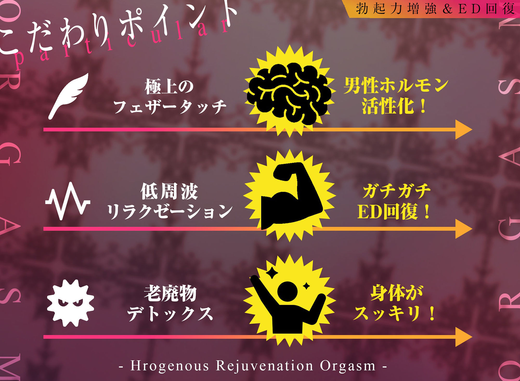 【勃起力増強＆ED回復】「実践！」性感回春オーガズム〜自然に溢れるような射精を体験！！〜【最近本気で気持ちイイ射精をしていない＆勃ちの悪いあなたに…】 サンプル2ページ目