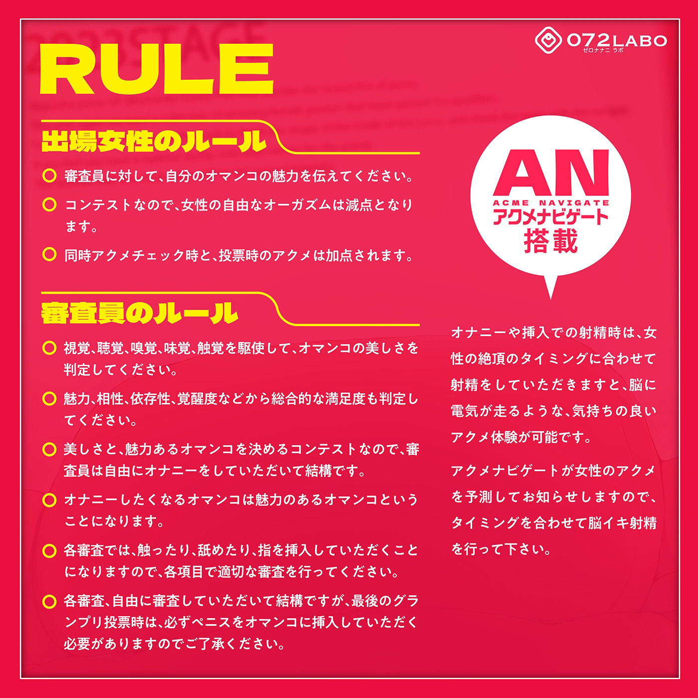 【オマンコシンデレラ】ペニスで審査「美オマンコGP・エントリーナンバー2022番」〜美しさと挿入感〜【アクメナビゲート搭載】 サンプル3ページ目