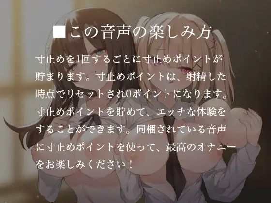 寸止めヘルス-寸止めした分だけエッチなサービスが受けれちゃう店 サンプル2ページ目