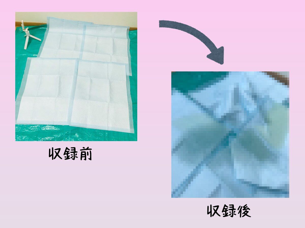 【ガチお漏らし実演】何でも言いなりの女子大生彼女にペット用のおしっこシートの上でおしっこ我慢オナニーをさせてみた…プライド無視の屈辱犬プレイ【ガチ録＃014】 サンプル1ページ目