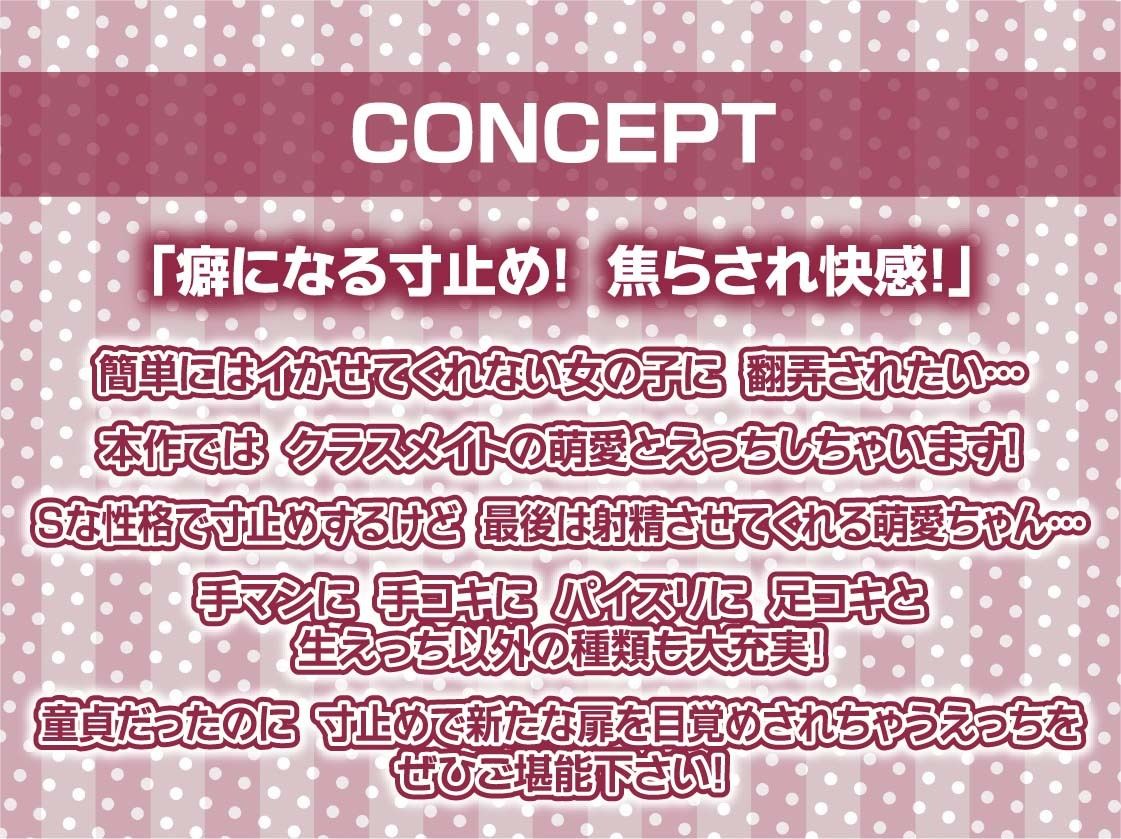 生意気意地悪JKとの寸止めえっち【フォーリーサウンド】 サンプル4ページ目