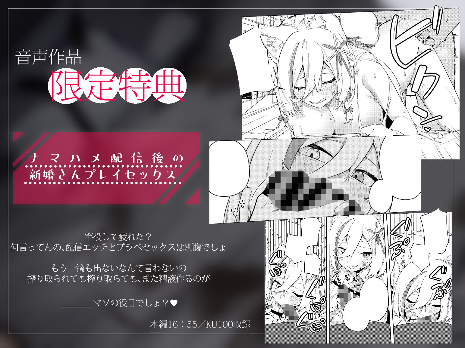 推し配信者はオレだけの専用まんこ。催●かけてエロ系配信者をいつでもどこまでハメまくる〜ろのみやひなぎくのばあい〜 音声ver サンプル4ページ目