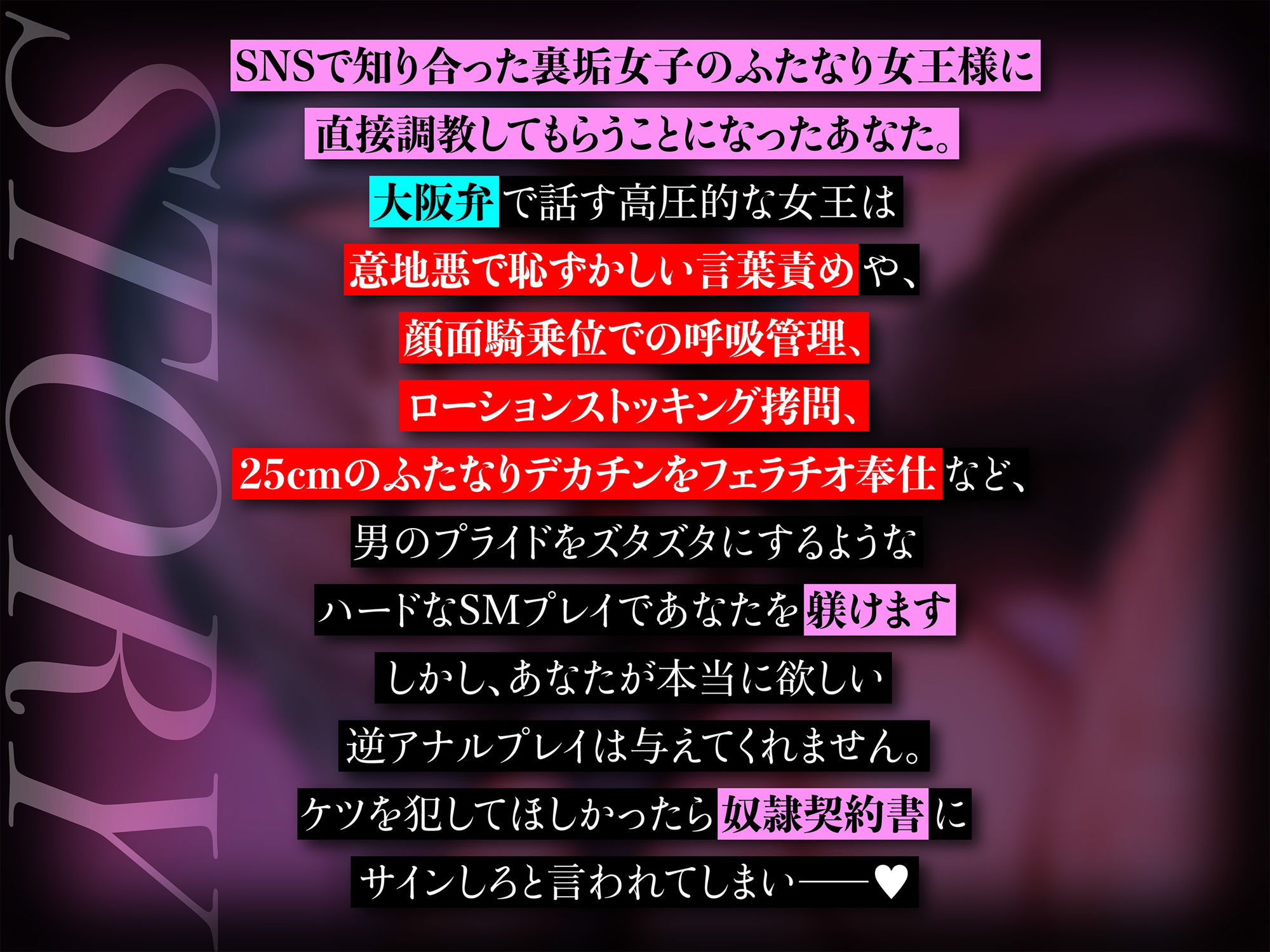 【ふた×男逆転無し】大阪弁ふたなり女王様に躾けられるみじめで恥ずかしいマゾ奴●調教 サンプル2ページ目