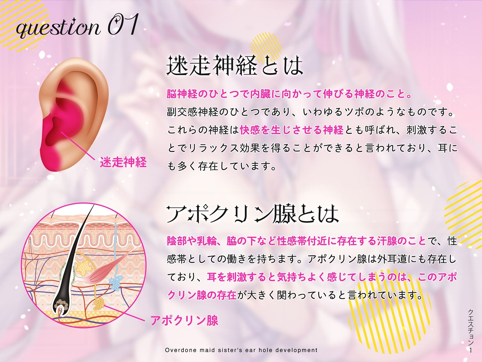 【更にもっと深く…】やりすぎメイドお姉さんの耳穴開発〜ミミラチオ・鼓膜舐め…迷走神経開発フルコース！！！〜 サンプル4ページ目