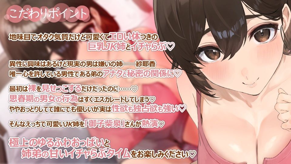 むっつりスケベでデカパイJKの姉貴が裸を見せっこしようとか言いだして…… サンプル2ページ目